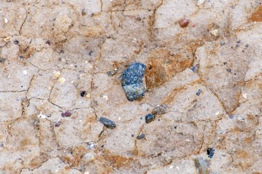 Arka planda çakıl taşları olan Baltık Denizi kıyısında.