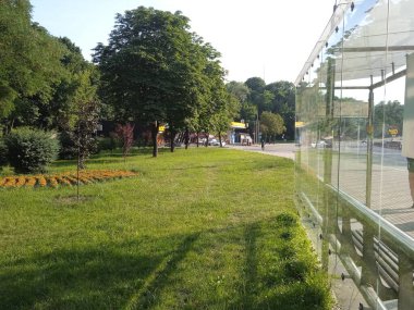 Yol kenarında çimenlik