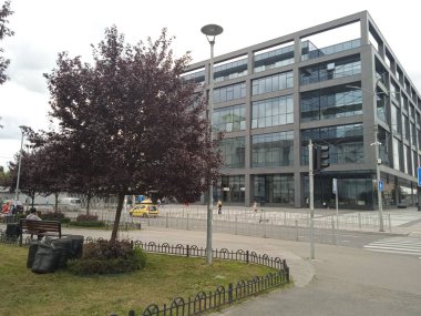 Modern iş merkezi ve mor yapraklı ağaç.