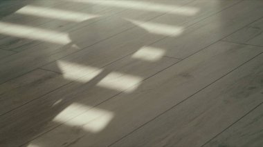 Yumuşak doğal ışığın ve gölgelerin ahşap bir lamine zemine düşüşünün sinematik çekimi. Minimalist ve sakin görsel doku, tasarım, sunumlar, iç bloglar veya karalama tahtalarında kullanım için ideal.