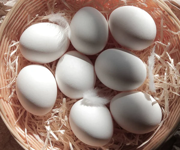 Eieren Veren Pluis Een Rietmand — Stockfoto