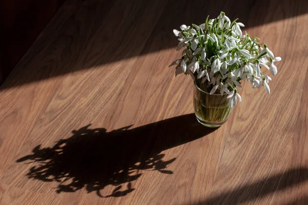 Букет Пролісок Склянці Дерев Яному Столі — стокове фото