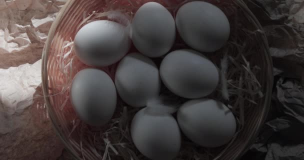 Eggs Feathers Fluff Straw Basket Gently Lit Morning Sun — Stock Video