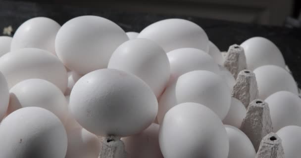 Заповнення Яєць Лотку — стокове відео