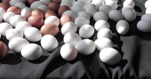 Grande Número Ovos Sobre Fundo Preto Luz Sol — Vídeo de Stock