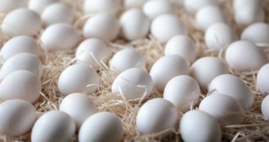 Bir sürü saman üstünde beyaz tavuk yumurtası