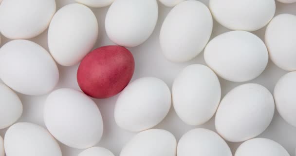 Huevo Rojo Gira Entre Los Huevos Blancos — Vídeo de stock
