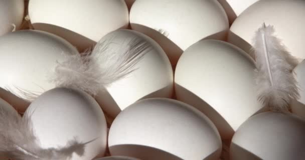 Ovos Brancos Com Penas Close Palha — Vídeo de Stock