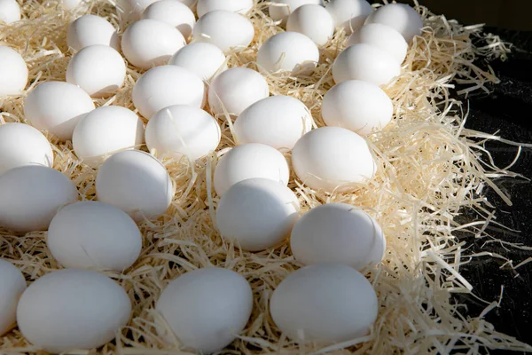 Πολλά Άσπρα Αυγά Κοτόπουλου Στο Άχυρο — Φωτογραφία Αρχείου