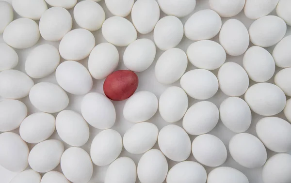 Rood Tussen Een Groot Aantal Witte Eieren Een Witte Achtergrond — Stockfoto