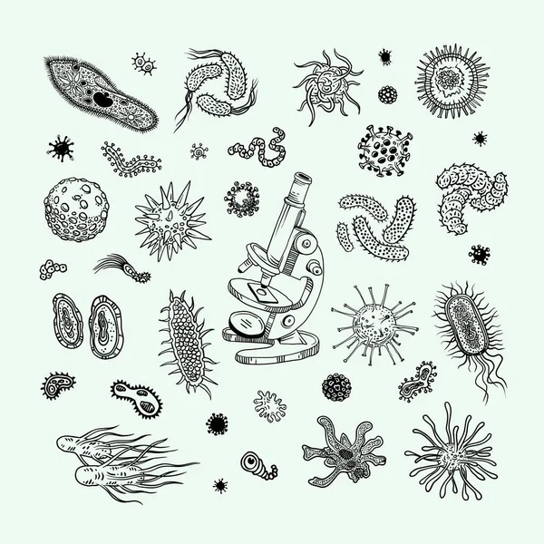 Biologiska Ritningar Virus Och Bakterier Med Mikroskop Contour Grafik Penna — Stock vektor