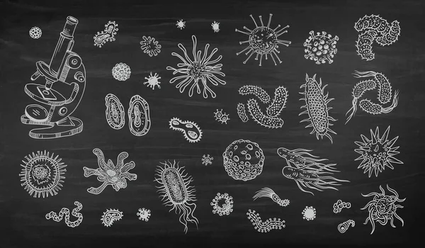 Desenhos Biológicos Vírus Bactérias Com Microscópio Contorno Gráficos Caneta Doodle —  Vetores de Stock