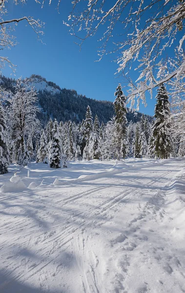 クロイト近くのクロスカントリースキートレイル 美しい冬の森の上のババリア — ストック写真