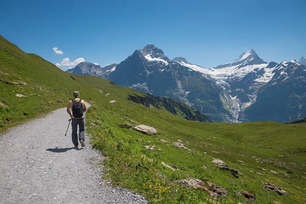 Hiker Mountain Trail Grindelwald First Stunning View Bernese Alps Glacier — Stock Photo, Image