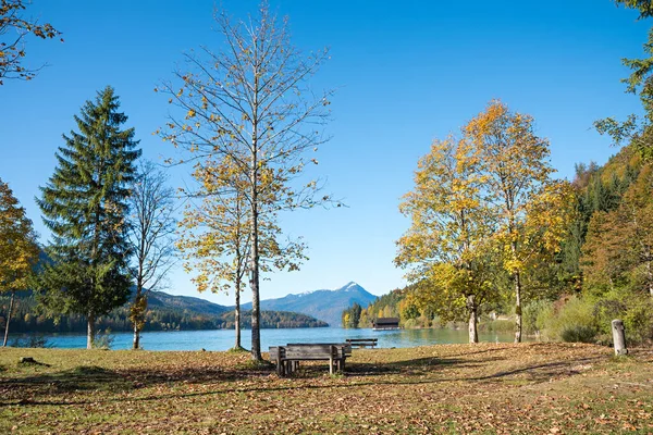 Miejsce Rekreacyjne Nad Brzegiem Jeziora Walchensee Jesienią Jachenau Miejscem Piknikowym — Zdjęcie stockowe