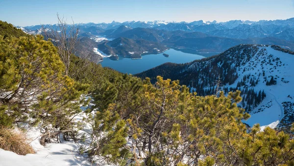 Malowniczy Alpejski Zimowy Krajobraz Widok Szlaku Turystycznego Herzogstand Jeziora Walchensee — Zdjęcie stockowe