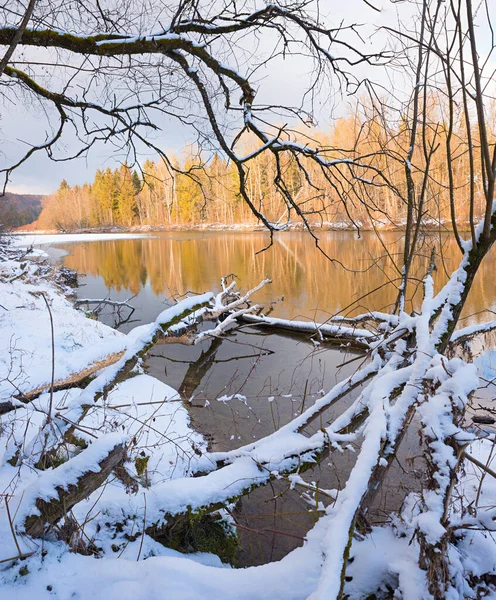 Zimní Krajina Řeka Zasněžený Břeh Řeky Zlatě Osvětlené Stromy Úsvitu — Stock fotografie