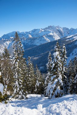 Alp kışı kayak merkezi Garmisch Kreuzeck, üst bavyera. dikey çekim.