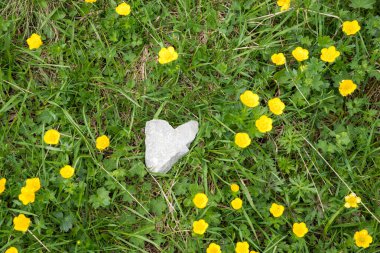green meadow with yellow buttercup flowers and heart shaped stone. natural love symbol.