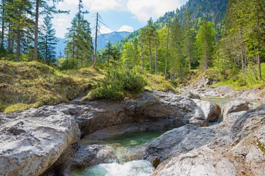 rocky torrent near Kreuth, spring landscape with mountain creek, upper bavaria