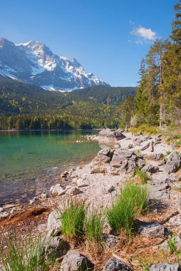 Kayalık göl kıyısı Eibsee ve Zugspitze dağı, dikey çekim. bahar manzarası üst bavyera