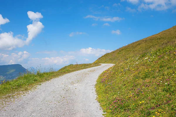 Alpine Hiking Way Curve Flower Meadow Blue Sky Clouds Copy — Stock Photo, Image