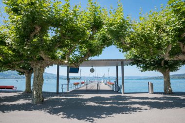 İniş sahnesi vor yolcu gemisi Rapperswil-Jona, Çerçeveli uçak ağaçları, İsviçre. 