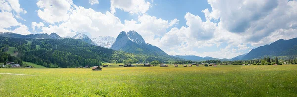 Wide Green Pasture Buttercup Flowers Wooden Hay Huts Wetterstein Alps — Stock Photo, Image