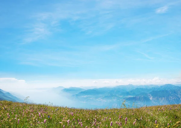 蓝天背景与田园诗般的花草甸蒙地巴尔多风景意大利 复制文本空间 — 图库照片