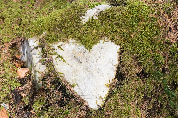 緑の苔に囲まれた天然石の心は森の中にあり — ストック写真