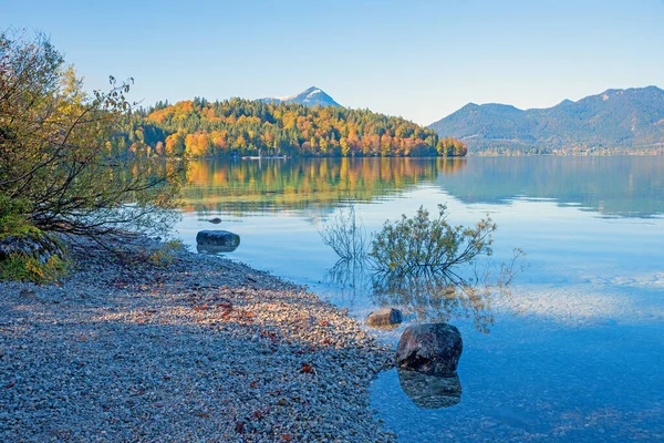 Walchensee Wald Und Sträucher Herbstlichen Farben Landschaft Oberbayern — Stockfoto