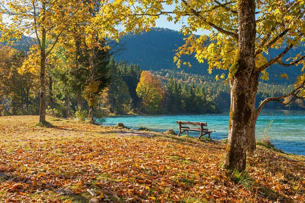 Herbstliches Seeufer Walchensee Mit Holzbank Und Bäumen Mit Bunten Blättern — Stockfoto