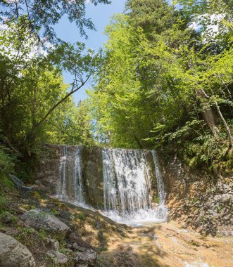 Bayrischzell yakınlarında güzel bir şelale, Yukarı Bavyera, yazın yürüyüş yeri