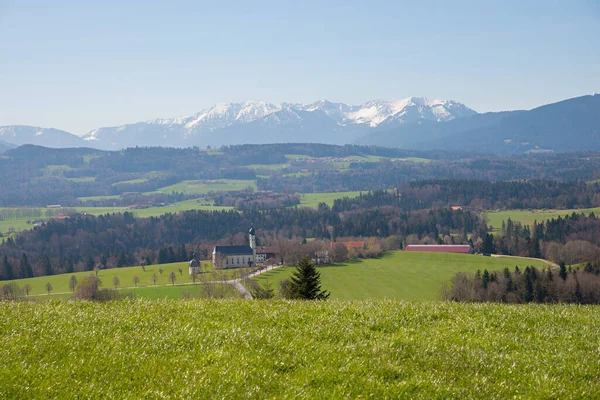 Вид Альпы Точки Обзора Иршенберга Верхний Баварский Пейзаж Весной — стоковое фото