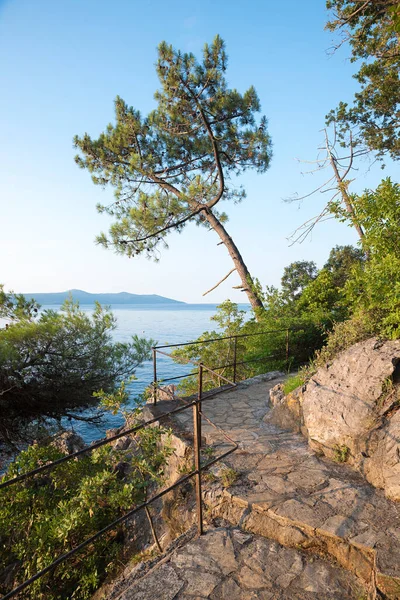 Paesaggio Costiero Croazia Sentiero Con Vista Sull Oceano Pino Moscenicka — Foto Stock