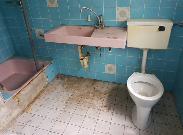 stock image bathroom from the seventies in need of renovation. old toilet, blue tiles and pink fittings. 