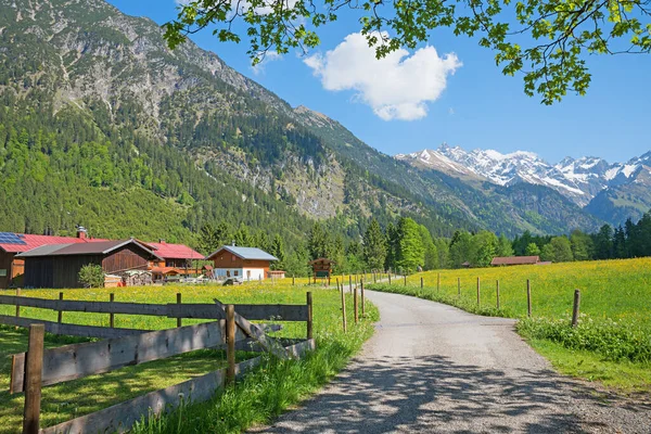 Ειδυλλιακή Πεζοπορία Τρόπο Κοιλάδα Stillach Κοντά Oberstdorf Άνοιξη Allgau Άλπεις — Φωτογραφία Αρχείου