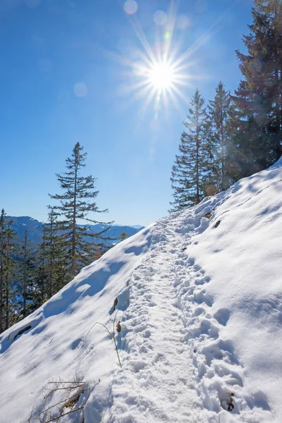 Sentiero Escursionistico Verso Montagna Seeberg Inverno Paesaggio Bavarese Superiore Vicino — Foto Stock