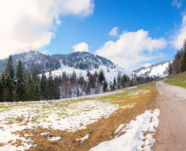 Piękna Droga Góry Brecherspitze Spitzing Obszar Bavaria Topniejącym Śniegiem — Zdjęcie stockowe