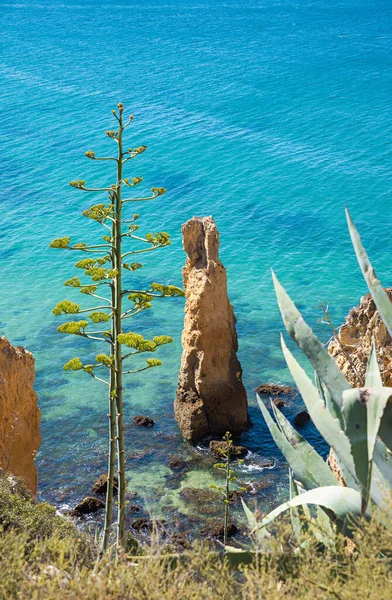 Rocky Needle Algarve Coast Tourist Resort Lagos Seascape Portugal — Stock Photo, Image
