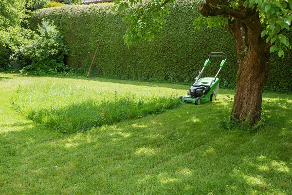 Garden Lawn Backyards Green Hedge Unfinished Work Gas Mower Summer — Stock Photo, Image