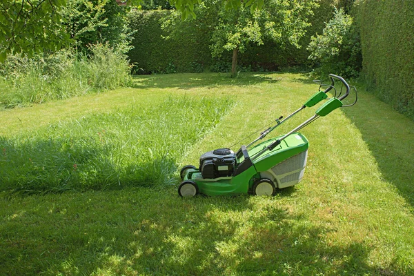 庭の草をガス芝刈り機で刈っています 太陽の光と木からの影 仕事が終わりません — ストック写真