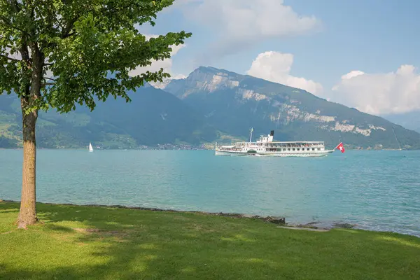 Пасажирський Лайнер Плаває Озері Тунсерсі Швейцарія Вид Зеленого Берега Деревом Ліцензійні Стокові Зображення