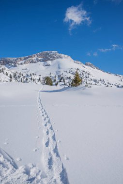 Karlı kış manzarasında ayak izleri Rofan Alpleri, Tyrol Avusturalya