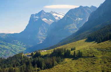 Göz kamaştırıcı alp manzarası İsviçre, Wetterhorn dağının önü bulutlu manzarası. Turizm merkezi Grindelwald, Bernese Oberland.