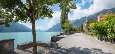 Göl kenarı gezintisi, ağaçlar ve göl manzaralı Brienzersee, turizm beldesi Brienz, manzara değişikliği Bernese Oberland