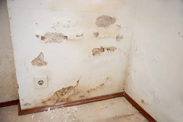 Wall Heavy Water Damage Efflorescence Plaster Due Rising Damp Stock Picture