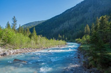 Rissbach nehri Hinterriss, nehir kenarındaki ağaçlarla, Tyrol manzarası Karwendel Alpleri
