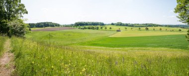 Backerbichl Tepesi, jeomorfolojik buzul çağı kalıntısı ve kır çiçekleri. Andechs yakınlarındaki bahar manzarası, Yukarı Bavyera