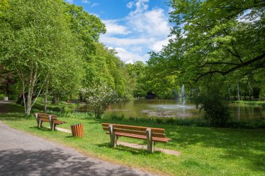 spa garden Bad Aibling, lake Irlachsee with fountain, recreational area with benches. upper bavarian spring landscape clipart